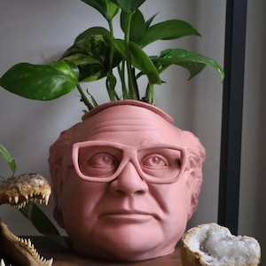 The Original Danny DeVito Frank Reynolds Head Planter For House Plants and Succulents