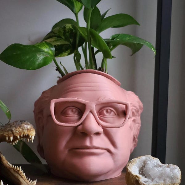 La fioriera originale Frank Reynolds Head di Danny DeVito per piante da appartamento e succulente
