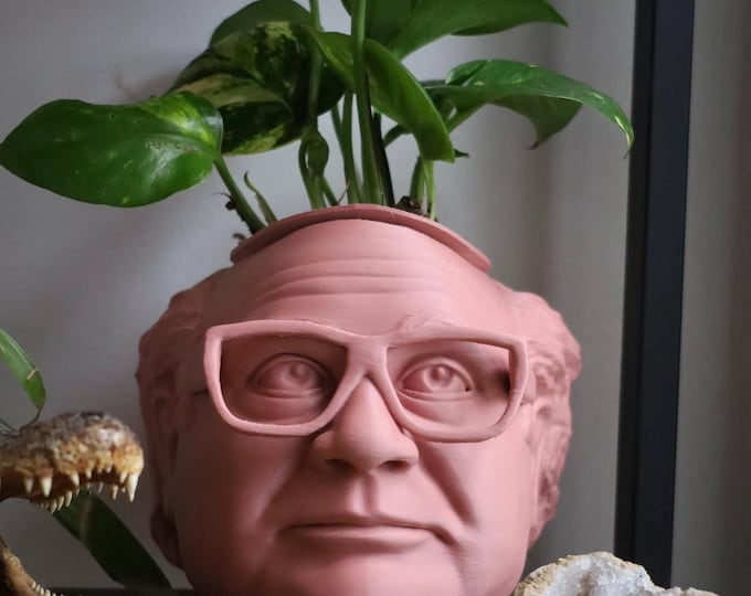 The Original Danny DeVito Frank Reynolds Head Planter For House Plants and Succulents