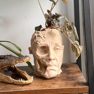 May include: A beige ceramic planter shaped like a human head, with one side appearing decayed. The planter holds a small plant with green and brown leaves. An alligator head with open jaws is to the left of the planter on a wooden shelf.