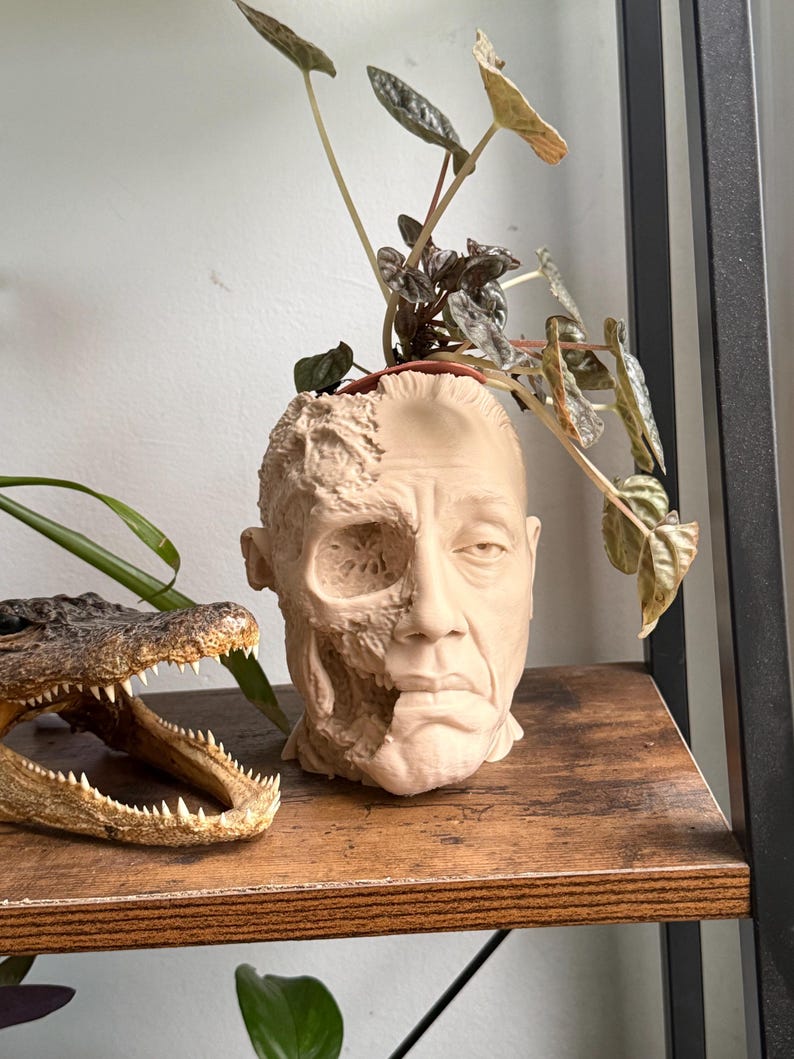 May include: A beige ceramic planter shaped like a human head, with one side appearing decayed. The planter holds a small plant with green and brown leaves. An alligator head with open jaws is to the left of the planter on a wooden shelf.