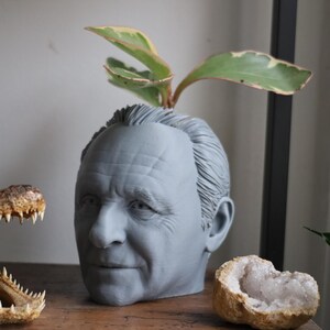 Vaso Anthony Hopkins Hannibal Lecter per piante da appartamento e succulente immagine 2
