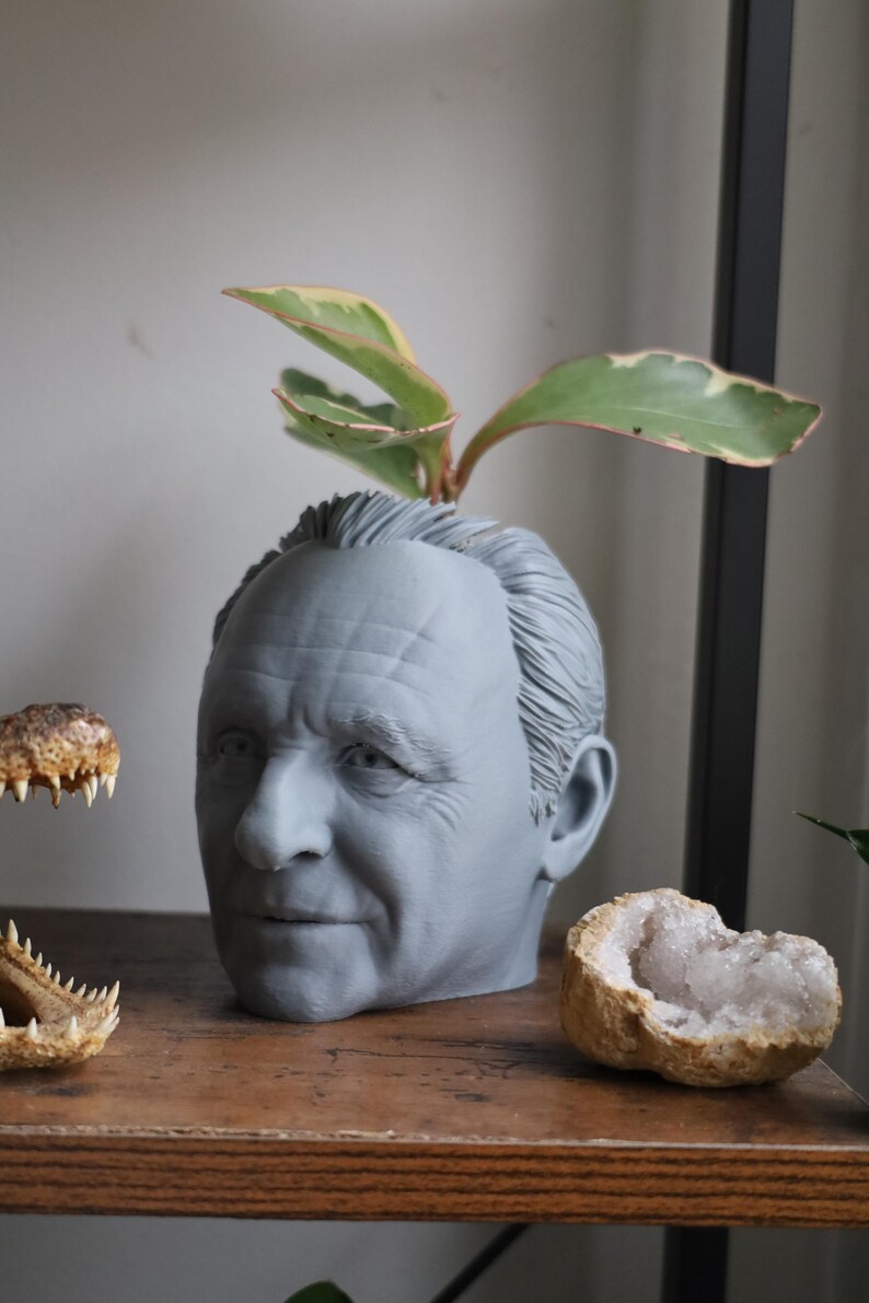 Vaso Anthony Hopkins Hannibal Lecter per piante da appartamento e succulente immagine 2