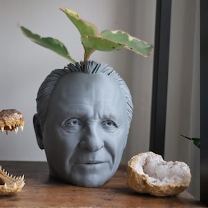 Vaso Anthony Hopkins Hannibal Lecter per piante da appartamento e succulente immagine 1