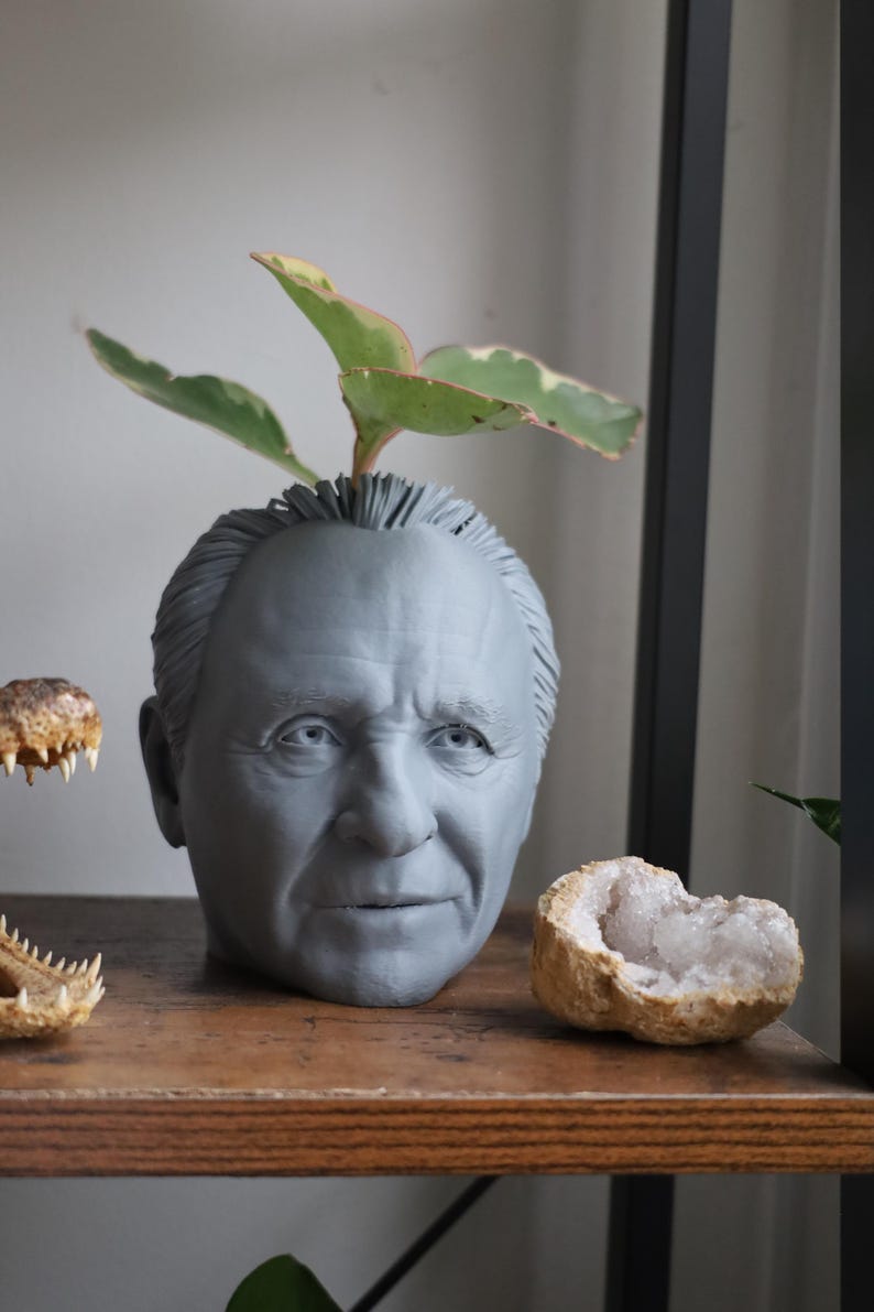 Vaso Anthony Hopkins Hannibal Lecter per piante da appartamento e succulente immagine 1