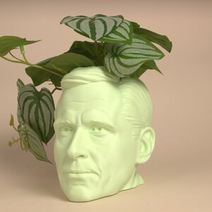 May include: A light green ceramic planter shaped like a human head with a leafy green plant growing out of the top.
