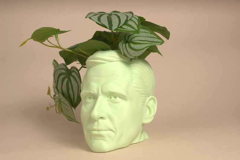 May include: A light green ceramic planter shaped like a human head with a leafy green plant growing out of the top.