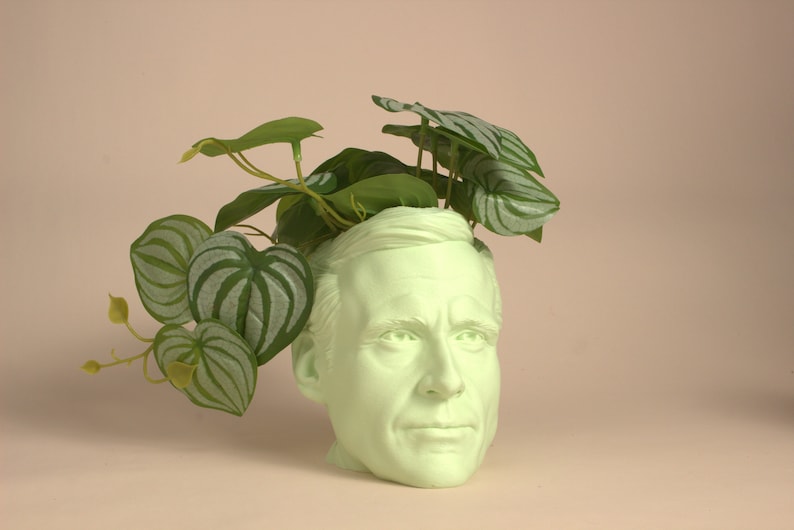 May include: A light green ceramic planter shaped like a human head with a leafy green plant growing out of the top.