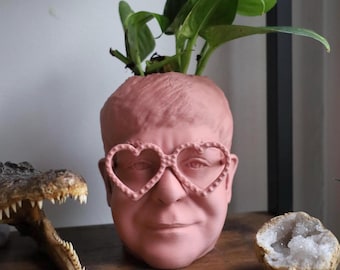 Elton John-krukan för krukväxter och suckulenter