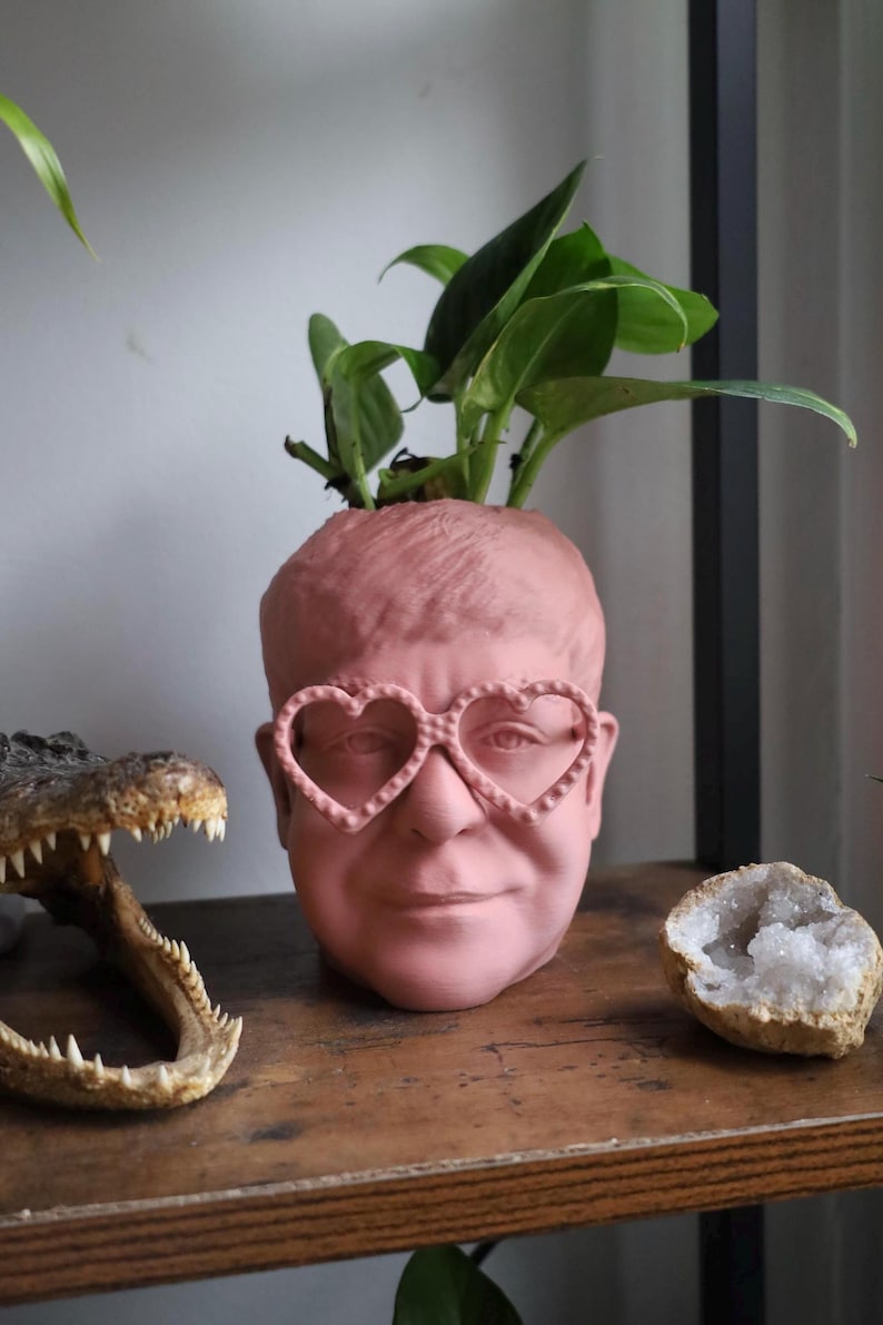 The Elton John Planter For House Plants and Succulents image 1