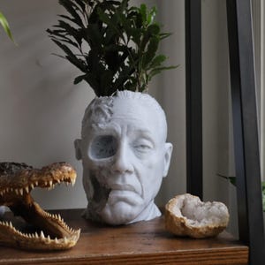 Gus Fring Tragic End Planter For Houseplants And Succulents image 1