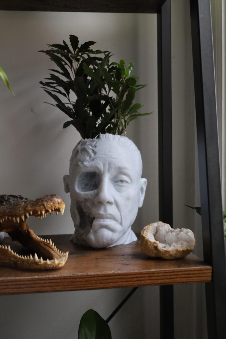 Gus Fring Tragic End Planter For Houseplants And Succulents image 1