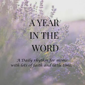 May include: A soft focus image featuring lavender flowers and the text "A YEAR IN THE WORD". The text "A Daily rhythm for moms with lots of faith and little time" is below the title.