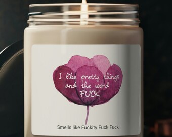 I Like Pretty Things and the Word F*ck 9oz Scented Soy Candle, Funny Candle, Gift For Friend, Rude, Bitchy, Snarky, Sarcastic, Hilarious