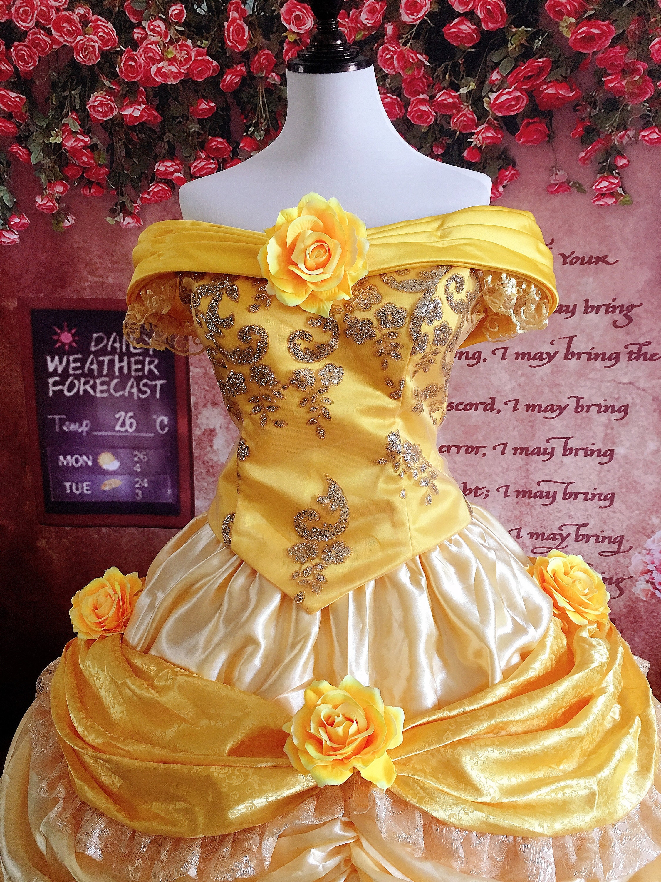 Belle Dress Cosplay Costume