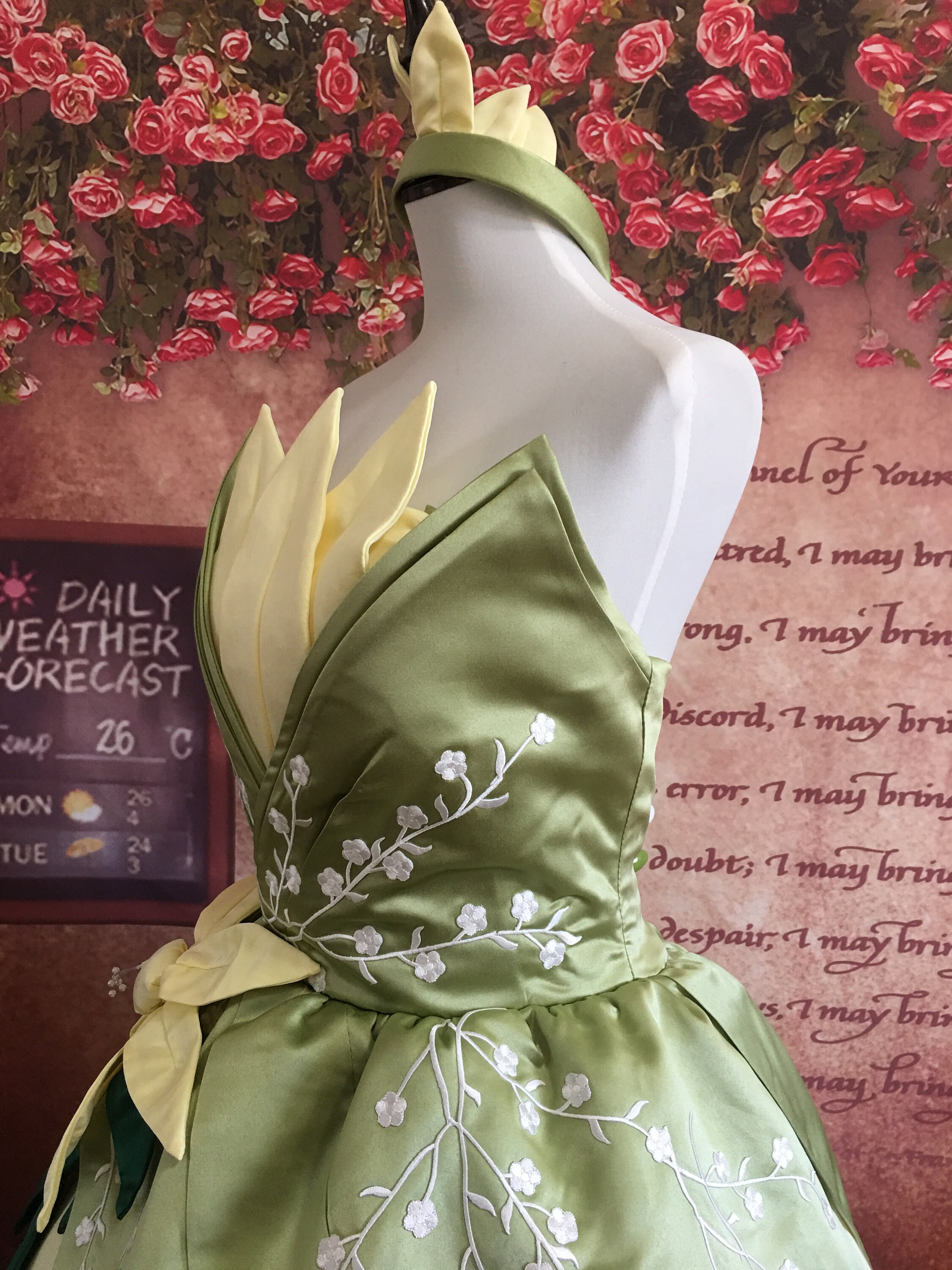 Embroidery Tiana Dress Princess And The Frog Cosplay Costume
