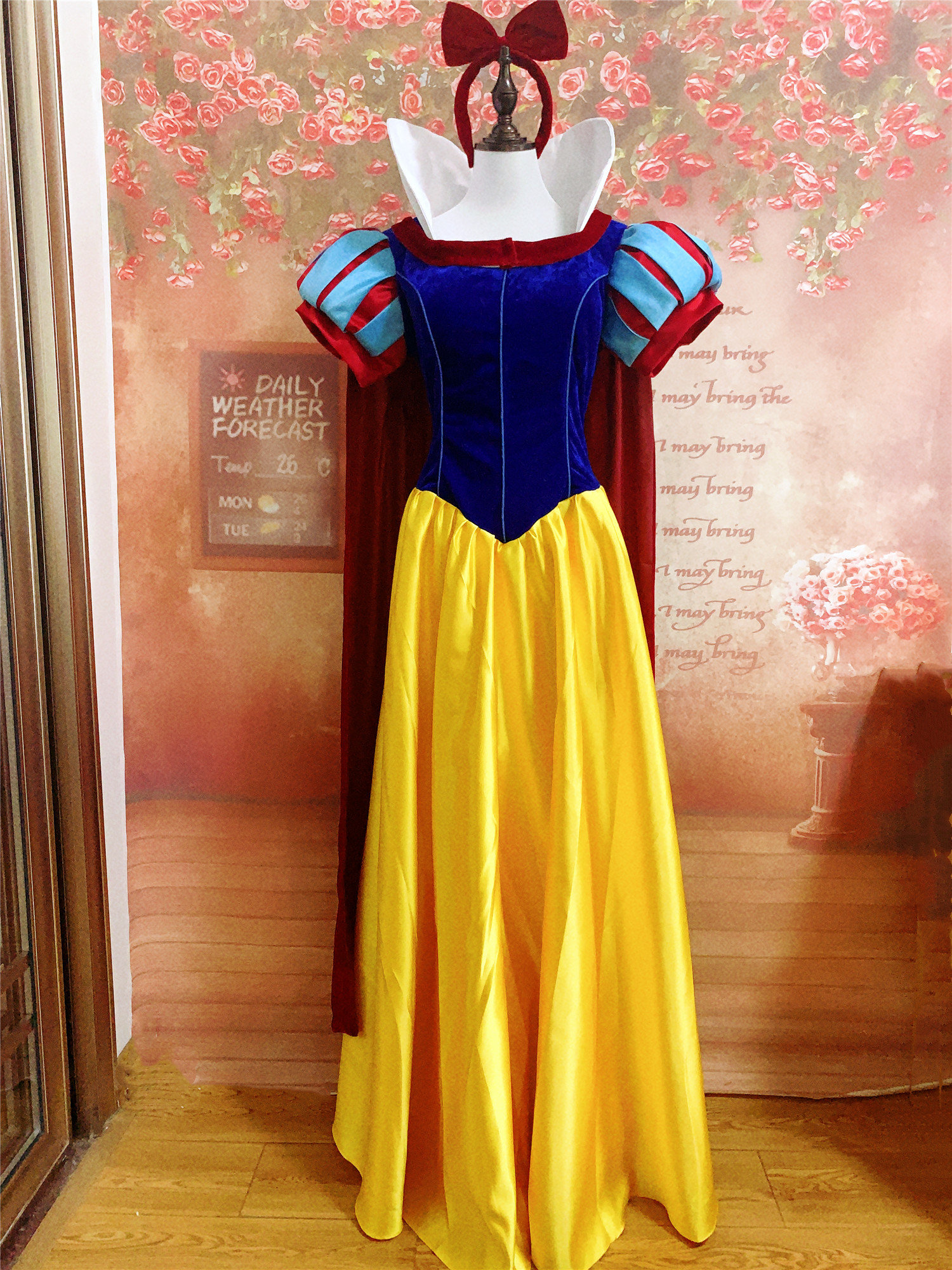 snow white dress women Royal Inspired, Disney Princess, Disney Ballgown, Adult Snow White Costume, Disney Inspired Ballgown Far away from the glare of the Evil Queen D467 - Snow White |