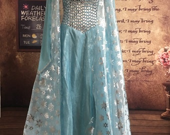 Elsa Dress Cosplay Costume
