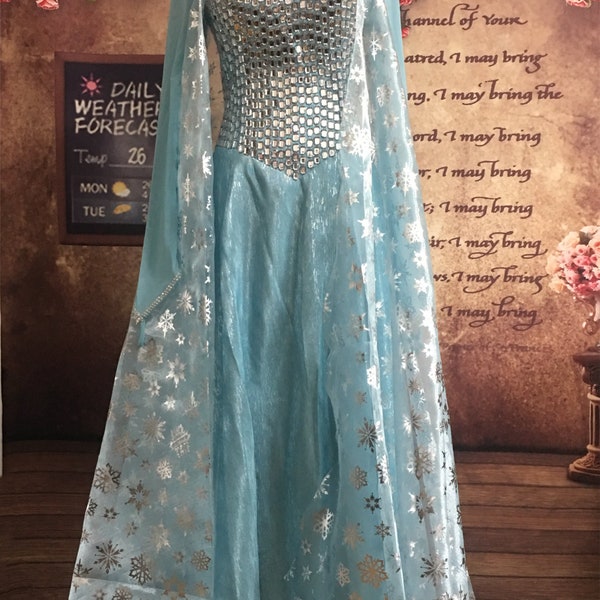 Elsa Dress Cosplay Costume