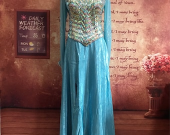 Elsa Cosplay Costume Adult Elsa Dress