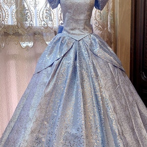 Park Inspired Classic Cinderella Dress Adult Cinderella Cosplay Costume Ballgown