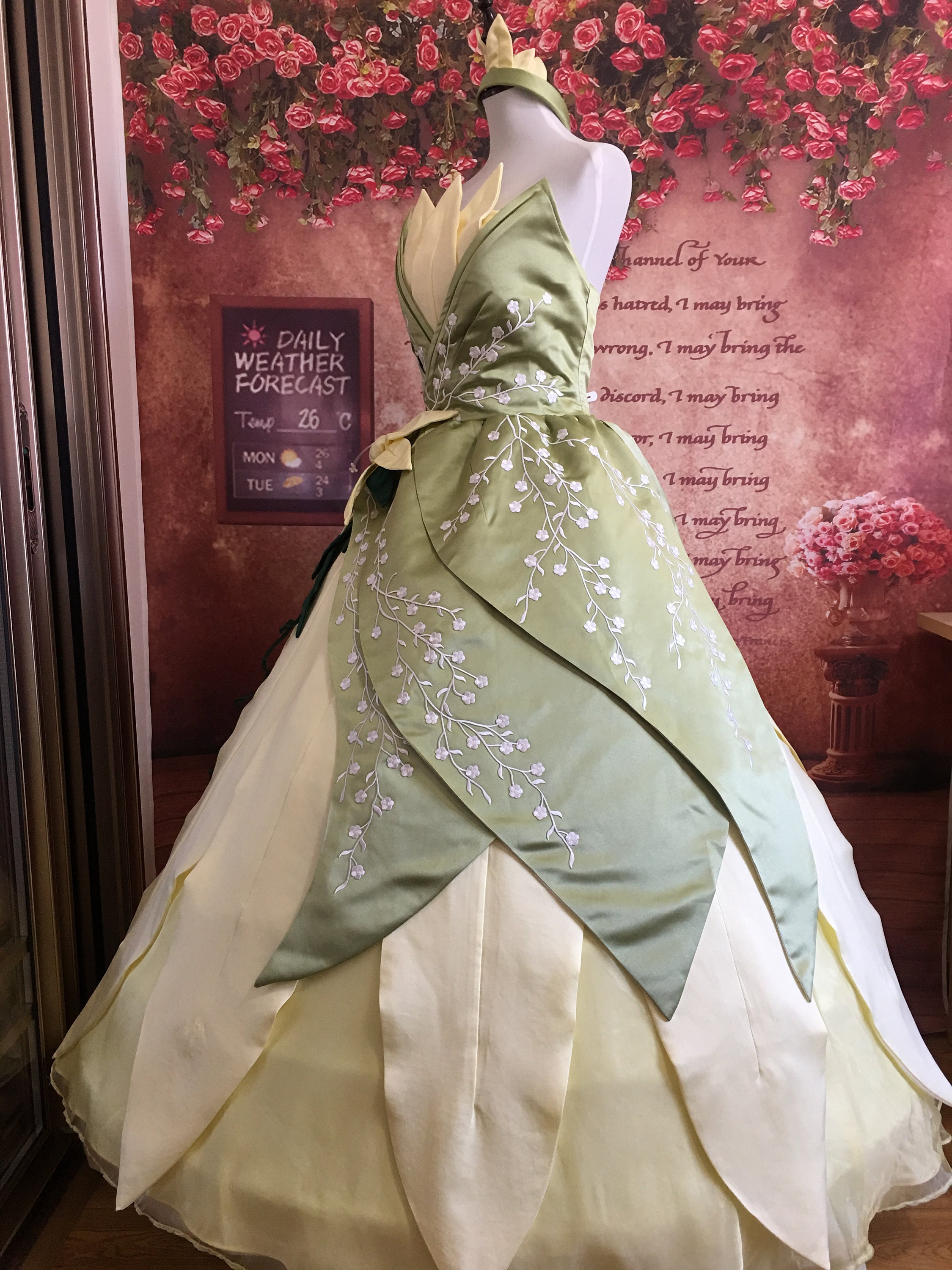 Embroidery Tiana Dress Princess And The Frog Cosplay Costume