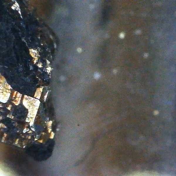 Spécimens de minerai d’or (1cm x 1cm)