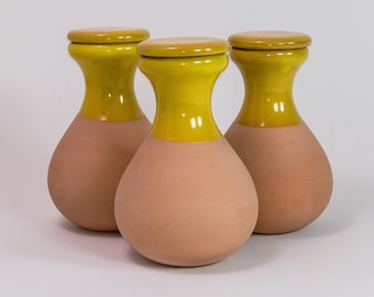 Oya terracotta buryable watering squirt, glazed yellow, 330 ml – self-watering for small indoor plants, pots and planters, water saving, makes my