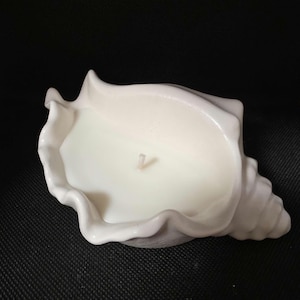 Hand made, soy wax candle &quot;Shell&quot;. Shell is made of gypsum, soy wax is unscented. Beautiful home decoration or gift idea.