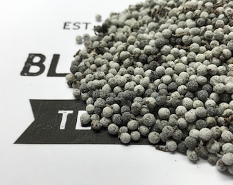 Northern Bayberry (myrica pensylvanica) - Wax/Candle Crafting - Wild Handpicked in Newfoundland...