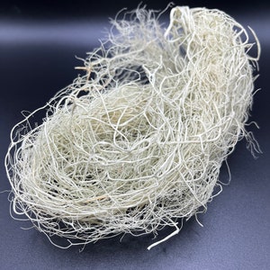 Usnea lichen - Usnea Hirta - 28 g Wild Harvest From Newfoundland
