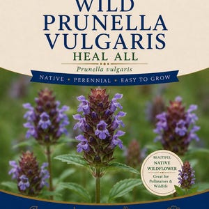 Könnte beinhalten: Eine Samentüte für Wild Prunella Vulgaris, auch bekannt als Kleine Braunelle. Die Verpackung zeigt dunkelblauen Text auf cremefarbenem Hintergrund mit dem Pflanzennamen, dem Status als heimische Pflanze und Symbolen für Wachstumsbedingungen.