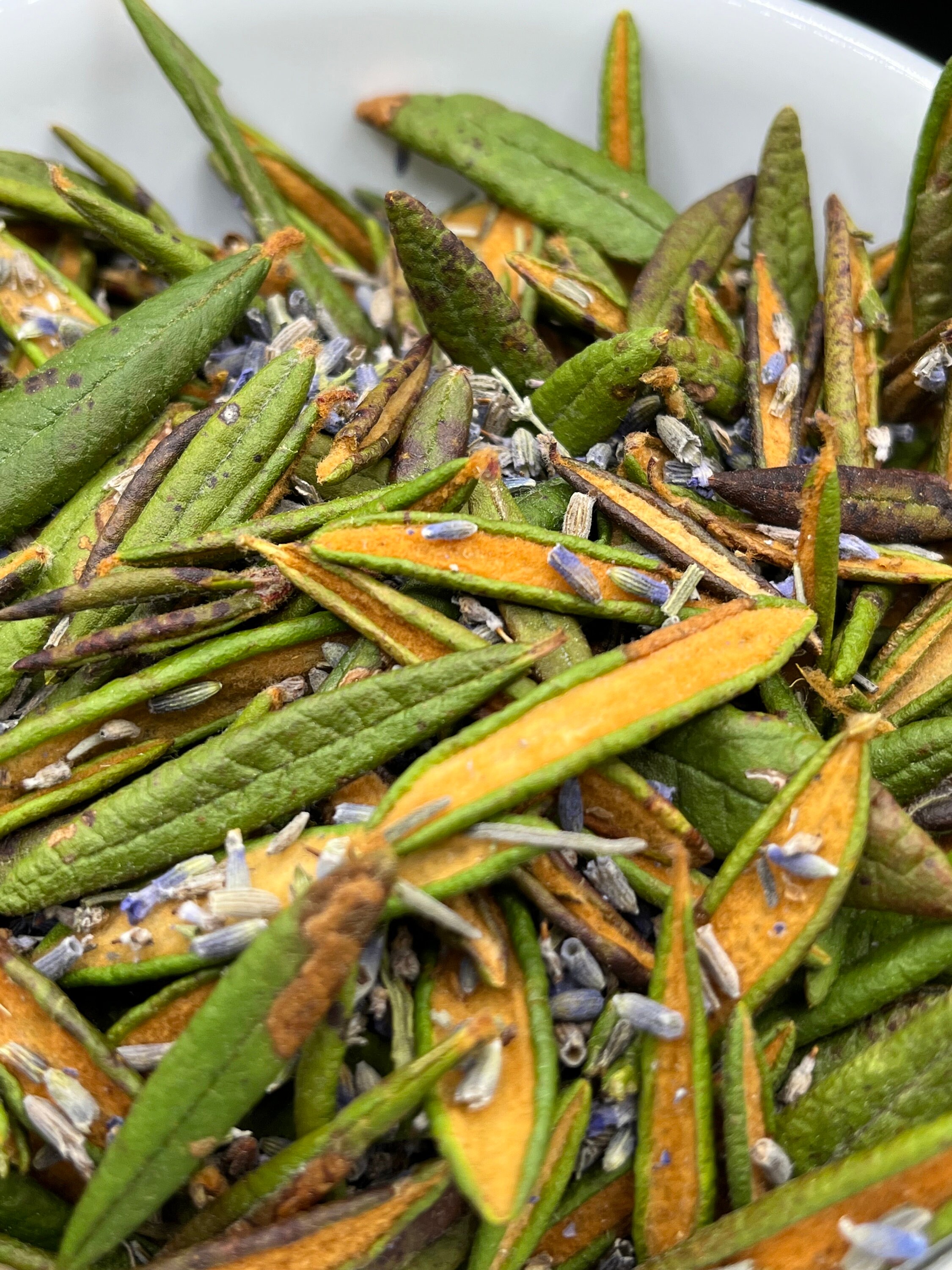 Labrador Tea Labeled Wild Harvested Labrador Tea & Lavender Blend, Natural Herbal Infusion ...