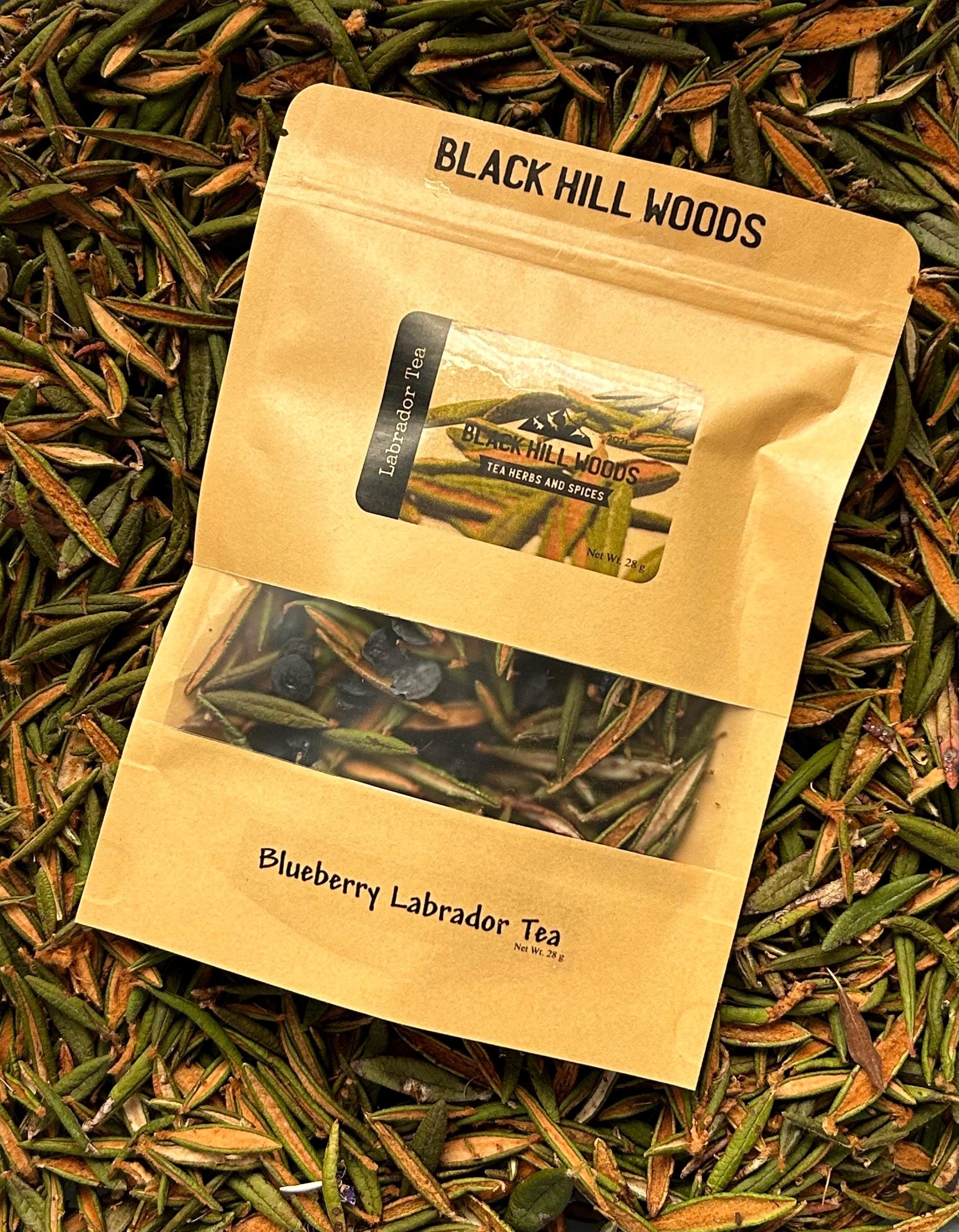 Wild Harvested Blueberry Labrador Tea, Natural Herbs and Spices - Etsy