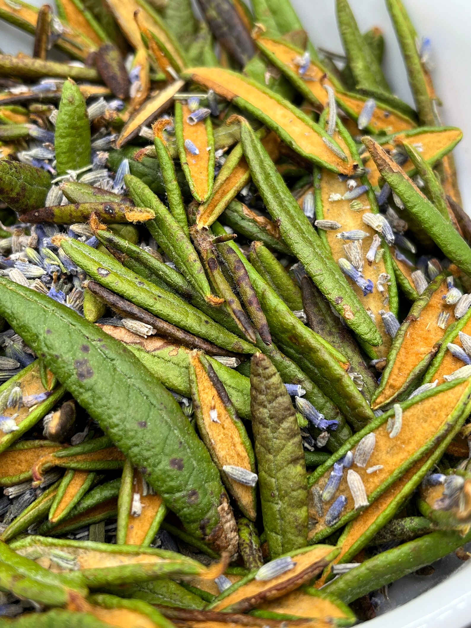 Labrador Tea Labeled Wild Harvested Labrador Tea & Lavender Blend, Natural Herbal Infusion ...