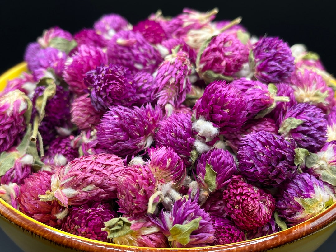 Purple Dried Globe Amaranth Flower Heads: Herbal Tea, Floral Crafts - Etsy