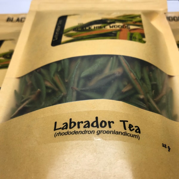 Labrador Tea (rhododendron groenlandicum) - Wild Whole Leaf - Bog / Muskeg / Swamp / Hudson's Bay tea - Handpicked in Labrador