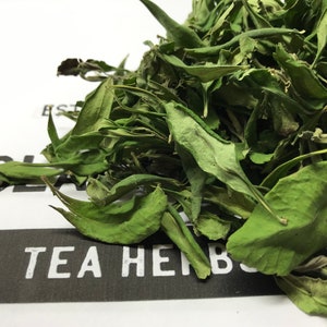 Può includere: Primo piano di foglie di tè verde essiccate. Le foglie sono di varie tonalità di verde, alcune mostrano una leggera sfumatura marrone. Il testo "TEA HERBS" è visibile nella parte inferiore dell'immagine.
