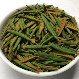 Bulk Labrador Tea (Rhododendron/Ledum groenlandicum) - Premium Dried Leaves - Handpicked in NL (buy more and save more)...