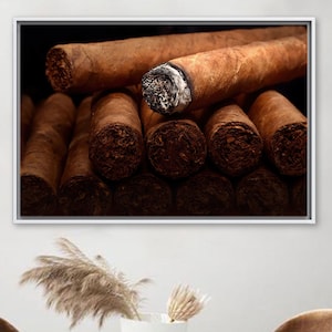 different types of tobacco plants Leaf phenotypes of tobacco plants expressing CA HvRACB or CA HvRAC3