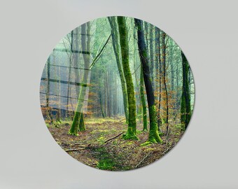 May include: A circular print of a misty forest scene with tall trees covered in green moss. The trees are in a line, with a path leading through the center of the image.