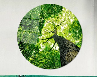 May include: A round wall art piece featuring a photograph of a tall tree reaching towards the sky. The image is dominated by shades of green, with the tree trunk and branches visible against the bright sky. The artwork is mounted on a white wall.