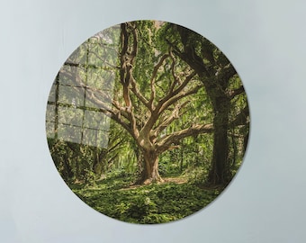 May include: A round wall art piece featuring a lush forest scene. The image showcases a large tree with sprawling branches, surrounded by dense green foliage. The artwork is mounted on a light blue wall above a brown sofa.