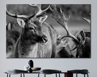 Deer Wildlife Photo Print, Wildlife Artwork, Loft Art, Deer Canvas, Animal Canvas Art, Deer Photo Art, Animalistic Printed,