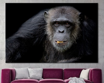 Chimpanzee Portrait, Animal Canvas Art, Monkey Wall Art, Cute Chimpanzee Wall Art, Chimpanzee Wall Art, Old Chimpanzee Canvas,