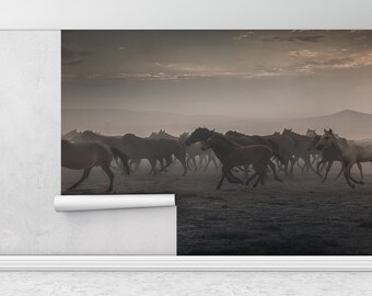Wall Paper Peel and Stick, Paper Wall Art, Wild Horses, Bright Wall Paper, Gift For Horse Lover Wall Decor, Horse Lover Wallpaper,
