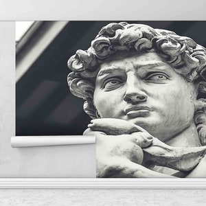 Statua di David Wall Decals, Man Statue Wall Decor, Carta da parati murale, David Wall Print, Modern Paper Craft, Elegante carta da parati 3D,