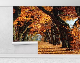 3D Wallpaper, Tree Landscape Mural, Tree Wall Print, View Digital Paper, Autumn Tree Landscape Digital Paper, Gift For The Home,