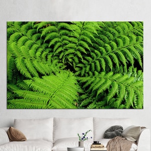 Große Leinwand, Farn, Blumen Leinwanddruck, Geschenk für ihn, Farn Leinwand, 3D Leinwand, Botanische gedruckt, Blumen gedruckt, Schild Farn Kunst Leinwand,