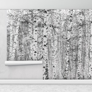 Wandbild schälen und kleben, helles Wandpapier, Papier Wandkunst, schwarz und weiß Wandbild, Birkenwald, Birkenwald Wanddekor,